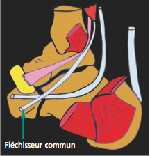 93-dossier fig 10