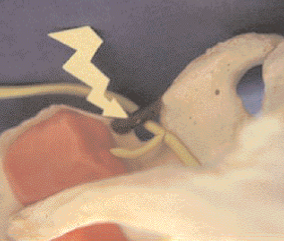 <div title="Page 2">
<div title="Page 2">
<p> </p>
</div>
</div>