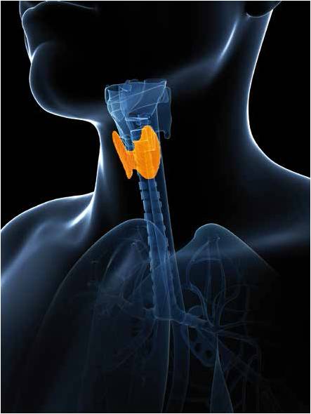 How To Spread The Word About Your anabolisant et steroide